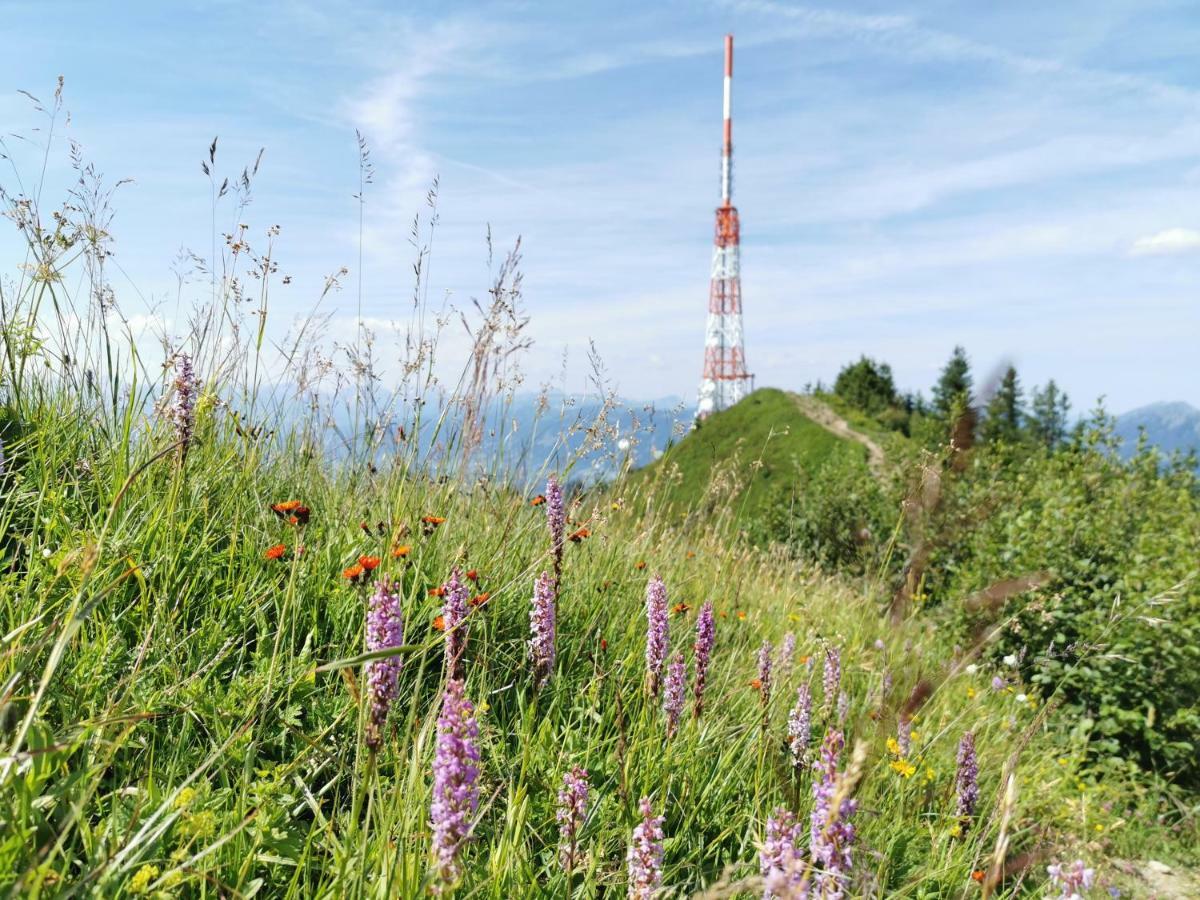 Ferienwohnung Am Eichwald Immenstadt im Allgäu Exteriör bild