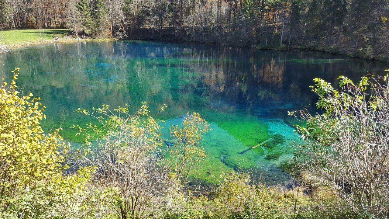 Ferienwohnung Am Eichwald Immenstadt im Allgäu Exteriör bild
