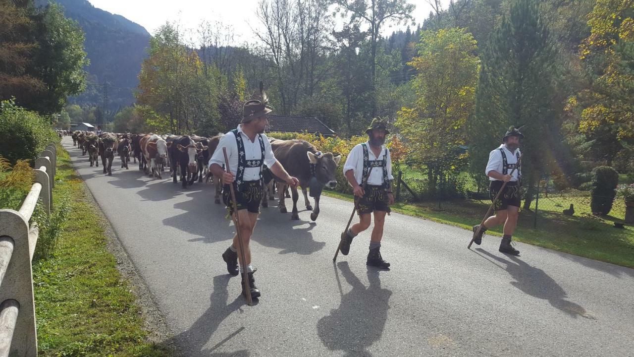 Ferienwohnung Am Eichwald Immenstadt im Allgäu Exteriör bild